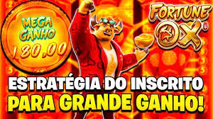 jogo de touro